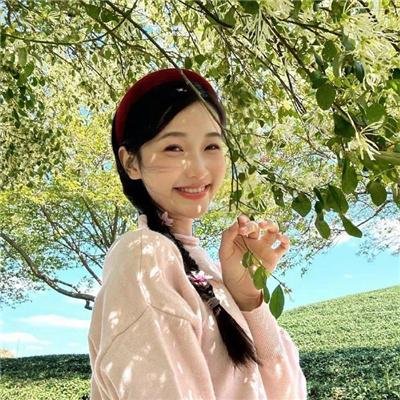 新包青天之南侠迷案
